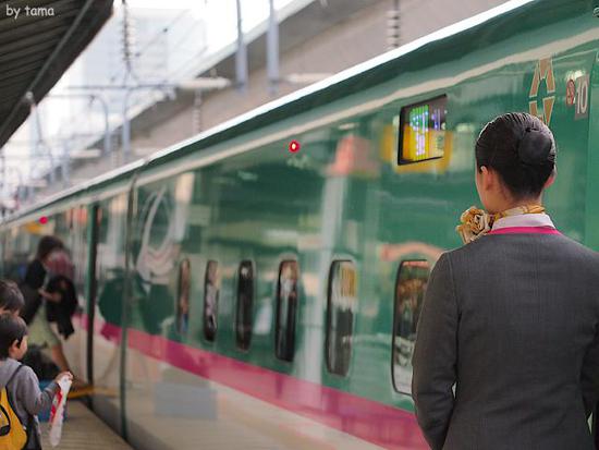 東京駅　東北・山形・秋田・上越・長野新幹線ホーム