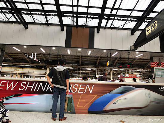 東京駅　東北・山形・秋田・上越・長野新幹線ホーム