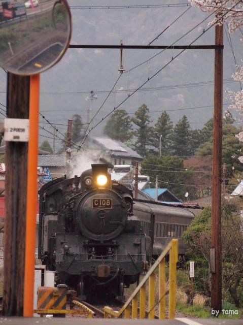 桜とＳＬ　フォト＆動画　大井川鉄道　駿河徳山駅　