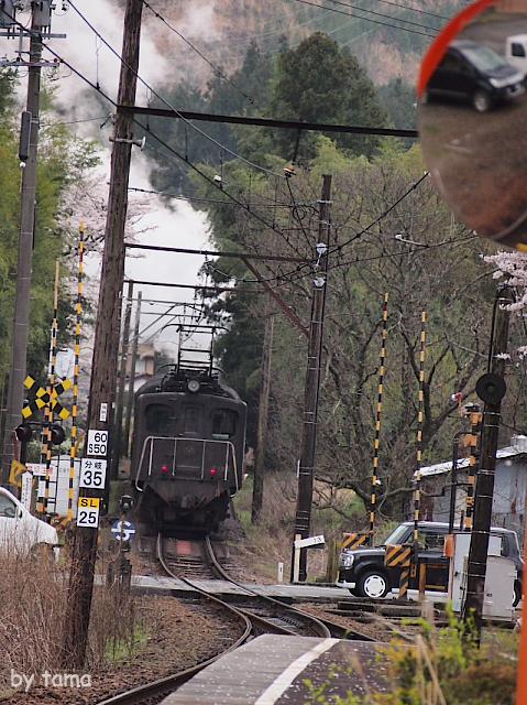 桜とＳＬ　フォト＆動画　大井川鉄道　駿河徳山駅　
