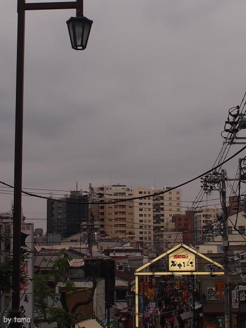 下町♪　日暮里　谷中ぎんざ商店街　ちょい散策　ＮＯ２