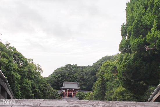 鎌倉　小町通り・鶴岡八幡宮　七夕飾り（９枚）