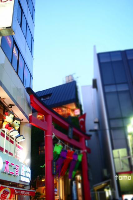 鎌倉　小町通り・鶴岡八幡宮　七夕飾り（９枚）