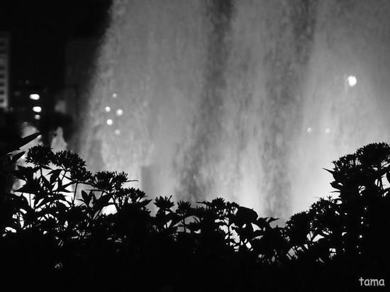 夜の山下公園♪　（モノクロ＆カラー　フォト７枚）