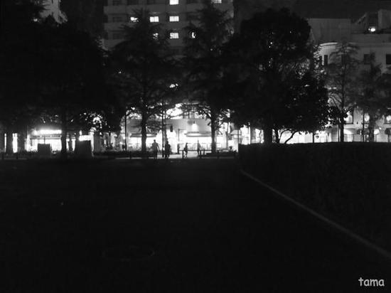 夜の山下公園♪　（モノクロ＆カラー　フォト７枚）