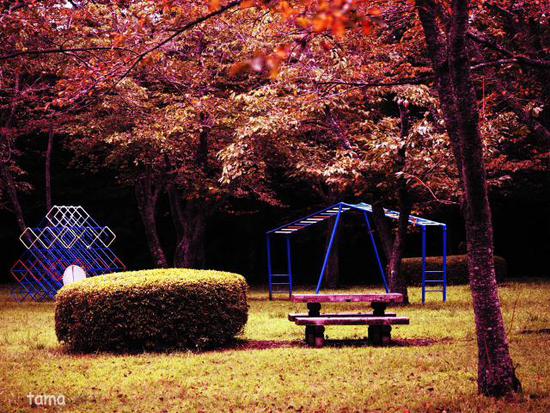 秋を待つ公園　（foto　５枚）　天母山自然公園