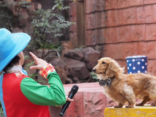 伊豆シャボテン公園の動物達　NO2（foto　15枚）