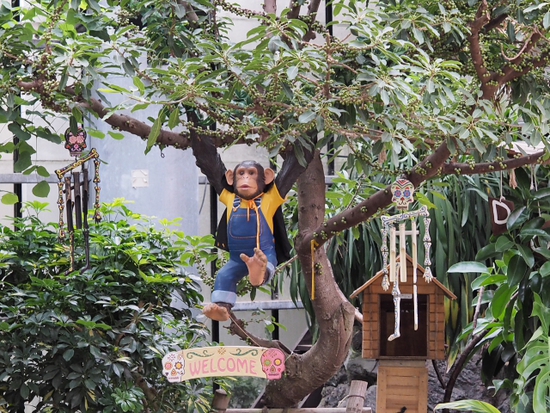 伊豆シャボテン公園の動物達　NO2（foto　15枚）