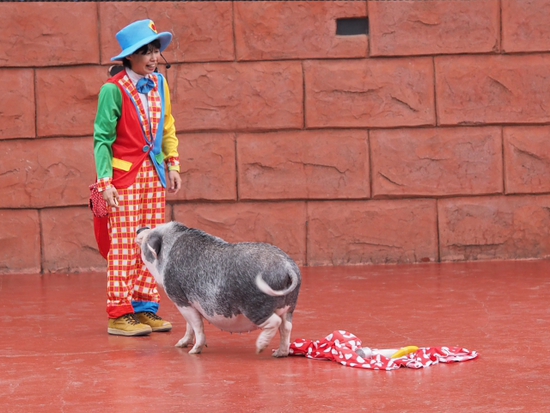 伊豆シャボテン公園の動物達　NO2（foto　15枚）