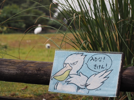 伊豆シャボテン公園の動物達　NO2（foto　15枚）
