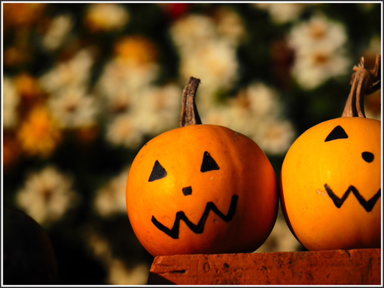たそがれ時のハロウィン