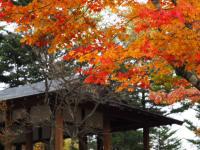 水ヶ塚公園駐車場からの富士山♪　ここも紅葉