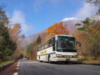 水ヶ塚公園駐車場からの富士山♪　ここも紅葉