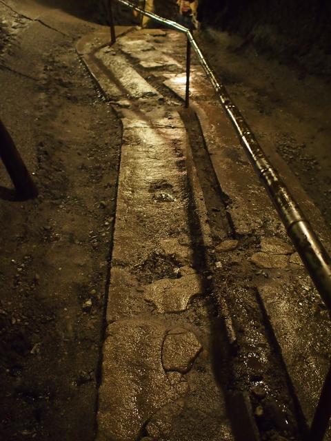 天然記念物の洞窟　富岳風穴