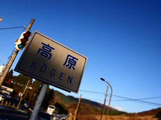 箱根　仙石原　ススキ草原
