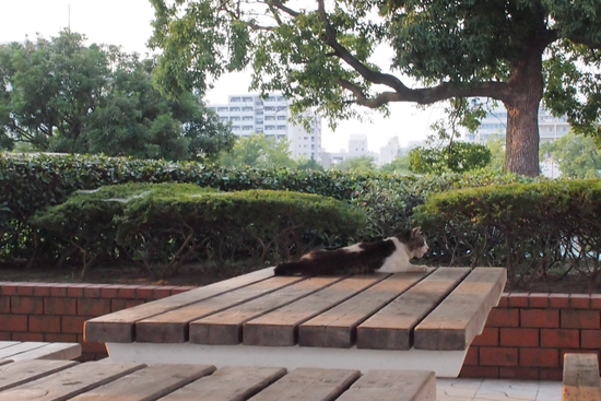 ガーデンふ頭臨港緑園？　名古屋港　