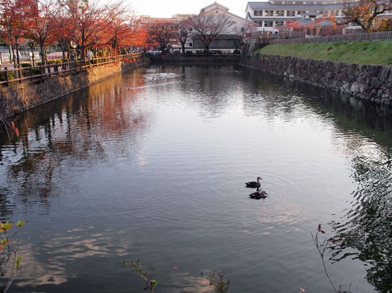 紅葉のお堀　小田原城