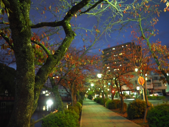 紅葉のお堀　小田原城