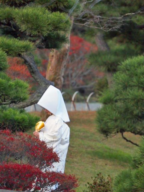 三渓園（foto　18枚）　12月10日
