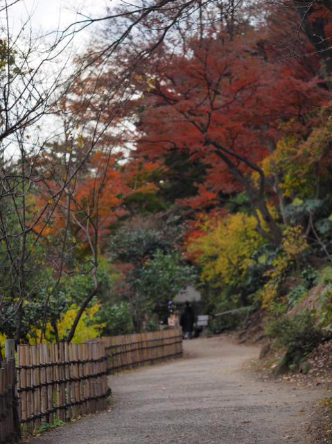 三渓園（foto　18枚）　12月10日