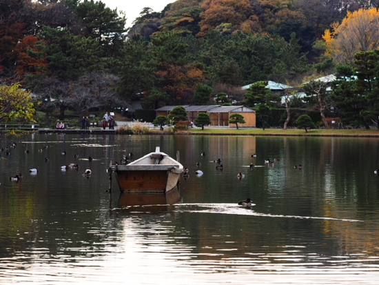 三渓園（foto　18枚）　12月10日