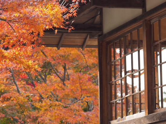 三渓園（foto　18枚）　12月10日