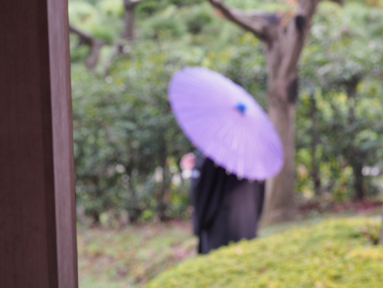 三渓園（foto　18枚）　12月10日