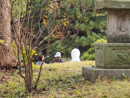 三渓園（foto　18枚）　12月10日