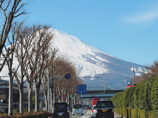 穏やかな日差しの中で♪　１２月１９日の富士山