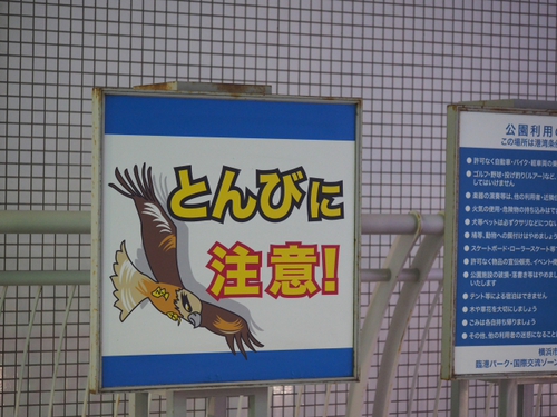 ぷかりさん橋付近