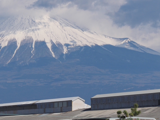 由比バイパス～　2015　1月17日の富士山