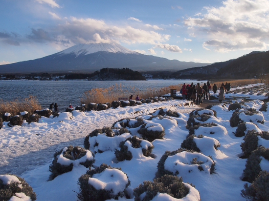 雪景色の大石公園からの富士山　河口湖