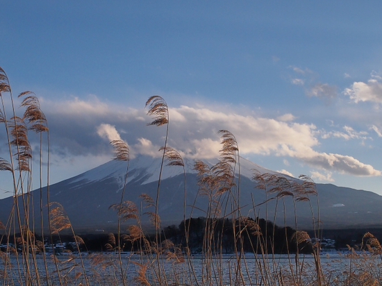 雪景色の大石公園からの富士山　河口湖