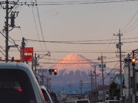 三保へ　1月31日＊買い物途中の富士山シリーズ