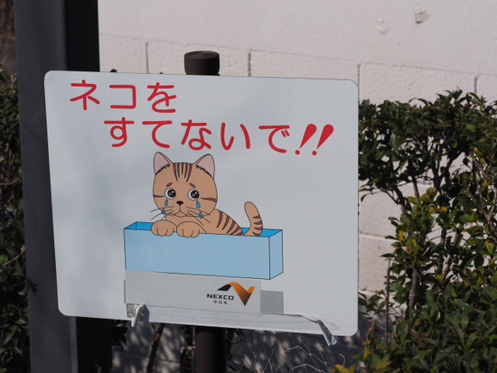 東名由比上りPAからの眺め　ドライブの合間の富士山シリーズ