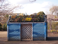 青い小屋