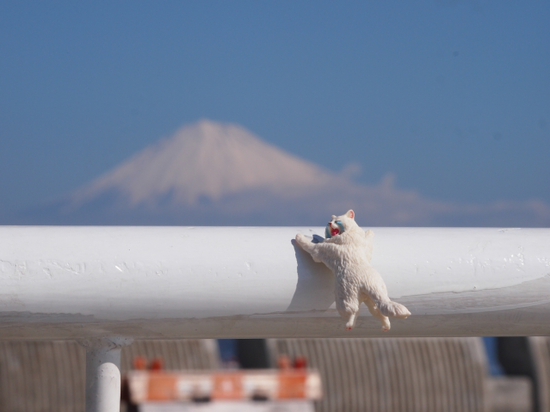3月5日の富士山♪　（foto 11枚）　清水港