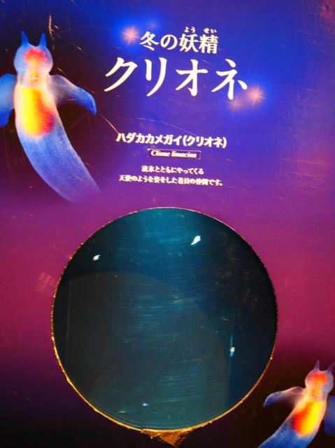 クリオネ　難しいヨネ