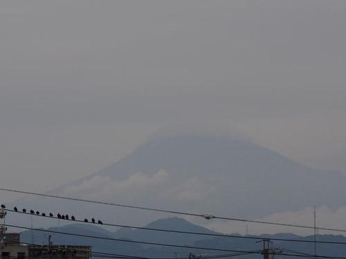 え＝＝！！　見逃した～？　　富士山初冠雪