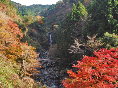 大棚の滝とその周辺の紅葉の様子・2015　須津川渓谷