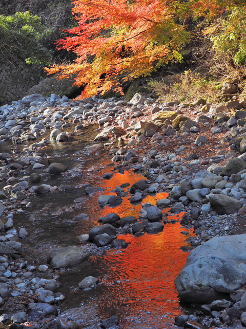 大棚の滝とその周辺の紅葉の様子・2015　須津川渓谷