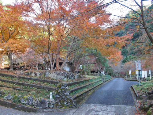 大棚の滝とその周辺の紅葉の様子・2015　須津川渓谷