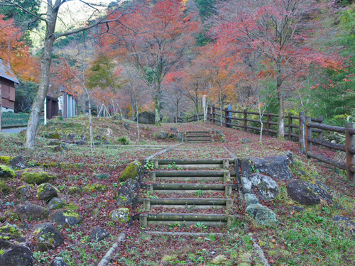 大棚の滝とその周辺の紅葉の様子・2015　須津川渓谷
