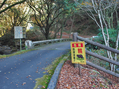大棚の滝とその周辺の紅葉の様子・2015　須津川渓谷