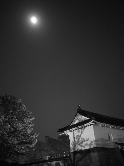 夜の小田原城　桜ライトアップfoto　10枚