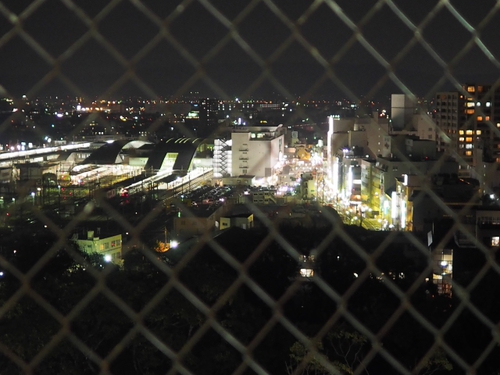 夜の小田原城　桜ライトアップfoto　10枚