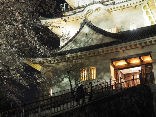 夜の小田原城　桜ライトアップfoto　10枚