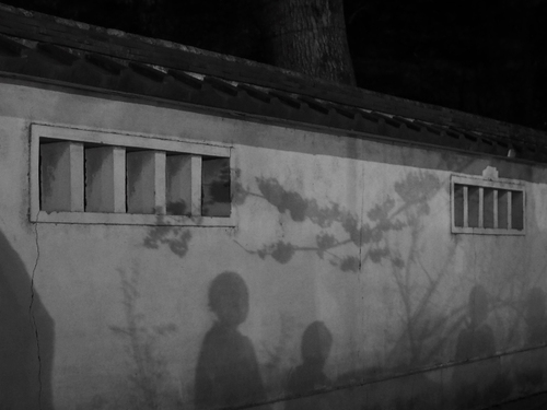 夜の小田原城　桜ライトアップfoto　10枚