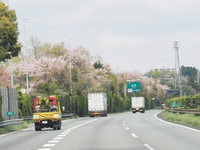 ４月９日の富士山　ドライブの合間の・・・・・ 2015/04/12 14:53:25
