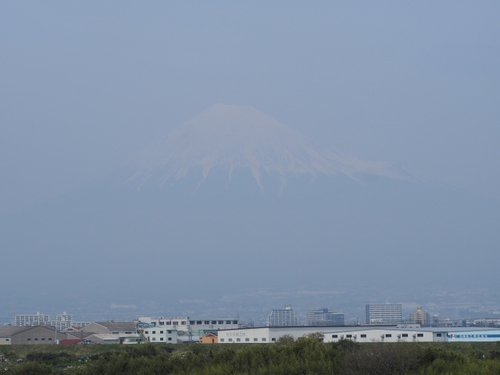 4月16日の富士山　NO1　　ドライブの合間の・・・・・